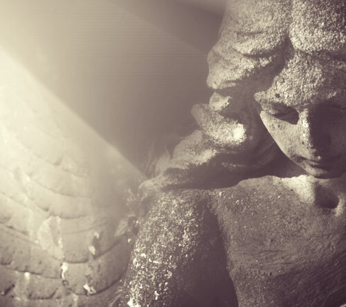 Angel Fund
