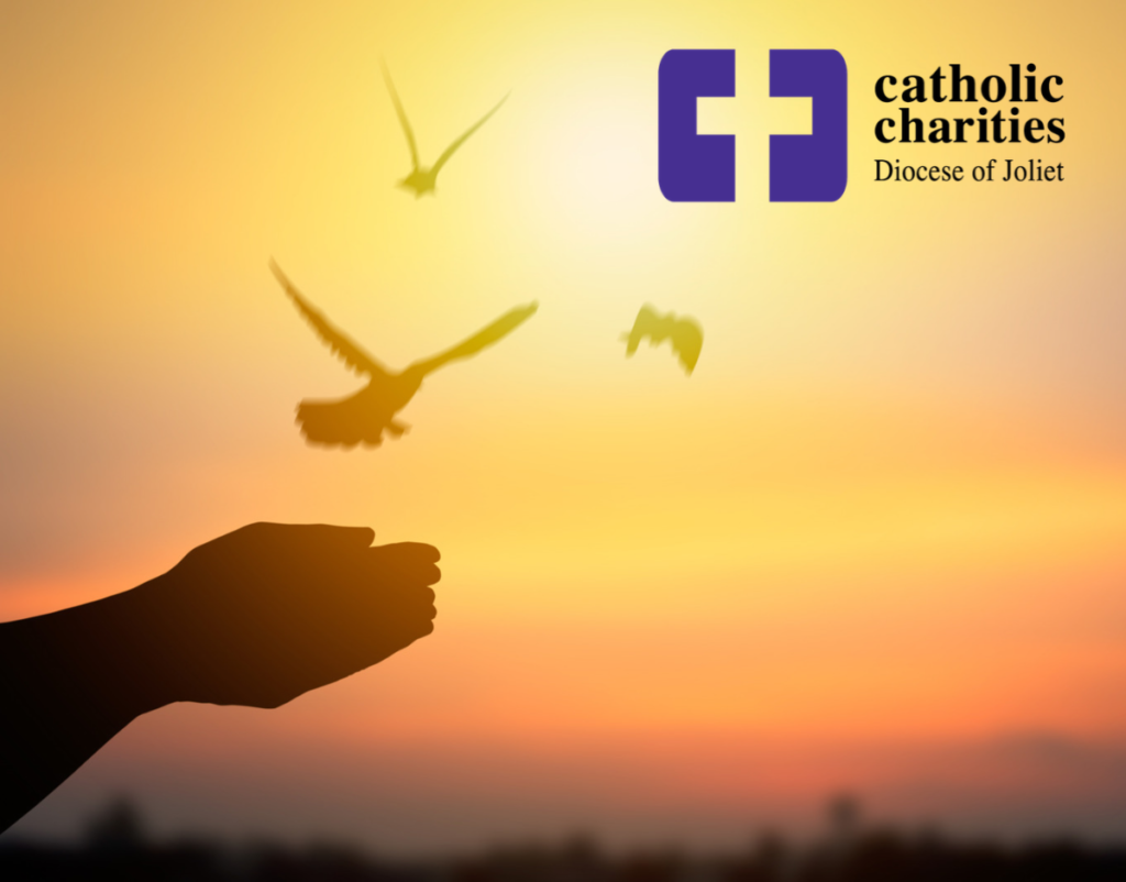 All Souls' Day Appeal